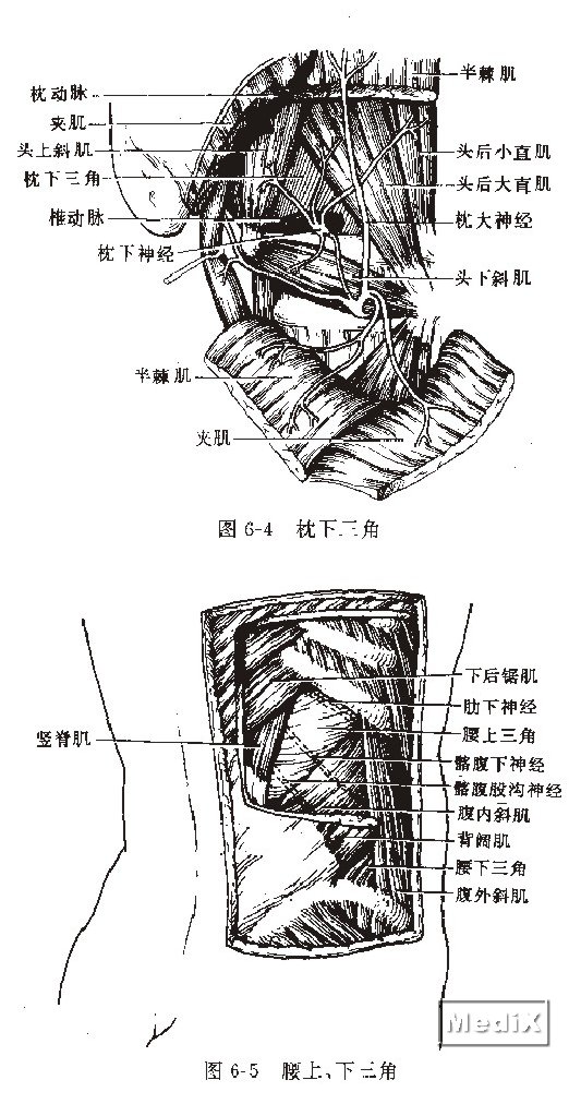 枕下三角，腰上、下三角