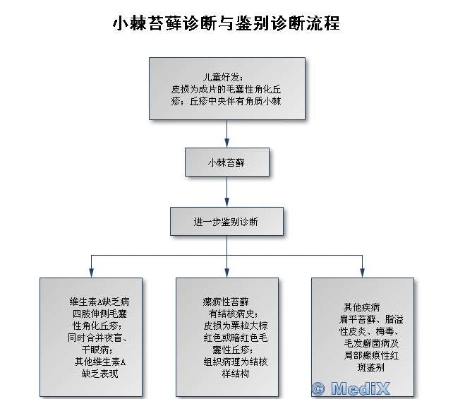 小棘苔藓诊断与鉴别诊断流程