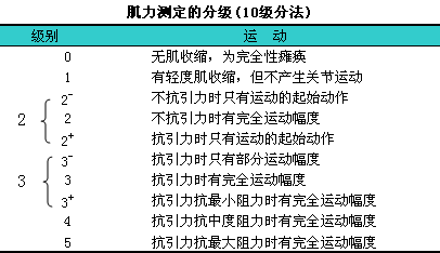 理学检查的基本内容