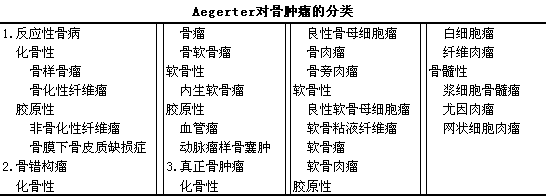 骨肿瘤的分类(四)